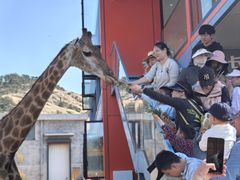 -西霞口神雕山野生动物世界