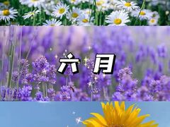 -沉浸北京·团建旅行·密室剧本杀·年会会议轰趴拓展