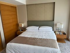 -佛山岭南天地康得思酒店