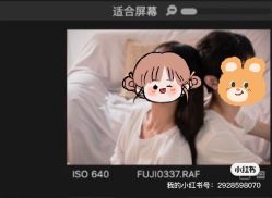 点击看大图 -Dina迪纳摄影(梅州品牌旗舰店)