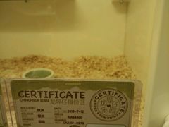 -龙猫仔乐园(惠福东路店)