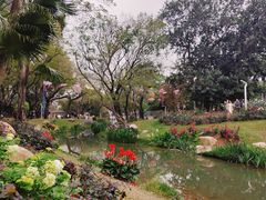 -人民公园(罗湖区)