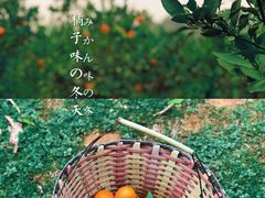 -青龙山国家森林公园