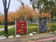 -唐城墙遗址公园