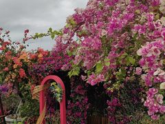 -东莞植物园