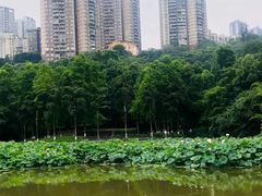-龙头寺公园