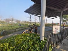 -季高兔窝窝亲子园(上海薰衣草公园店)