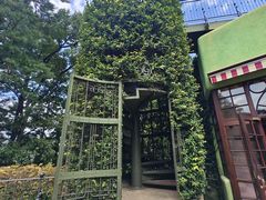 -三鹰之森吉卜力美术馆