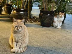 -福州开元寺