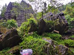 -梭布垭石林景区