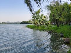 -渤公岛生态公园