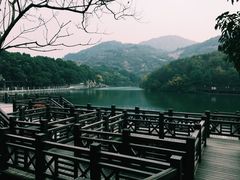 -白马涧龙池景区