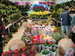 -三旗百汇商品城