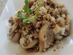 -百利鸽王(紫薇路店)