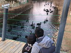 -长白岛森林公园