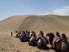 -银肯塔拉沙漠生态旅游景区