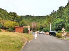 -千岛湖天屿景区
