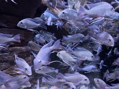 -成都浩海立方海洋公园