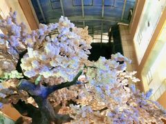 -嘉悦汗蒸时代(曙光路店)