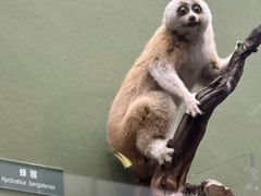 -国家自然博物馆