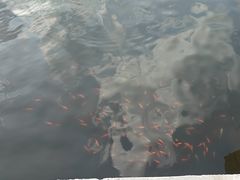 -泰山风景名胜区-虎山公园