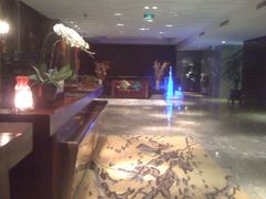 大堂-成都明宇丽雅饭店