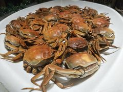 -东方红海鲜百汇(国际大厦店)