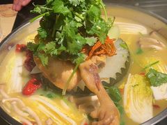 -大红袍火锅料理(尖沙咀店)