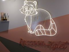 -浣熊柯尔鸭土拨鼠·电玩咖