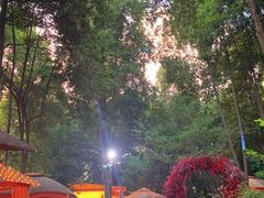 -二荆条·蜀鲜汇城市森林火锅