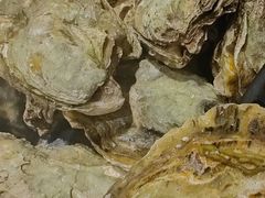 -张记旺角食街(动物园店)