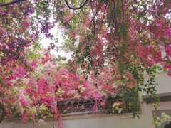 -深圳国际园林花卉博览园