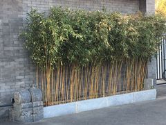 -晟永興烤鸭店(五道口店)