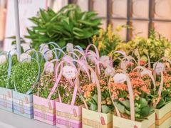 -COACH蔻驰(星光68广场店)