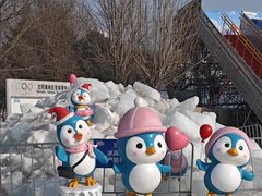 -沈阳奥体冰雪嘉年华