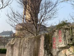 -东方大寿星园