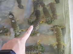 -拉威海鲜市场