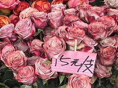 -循礼门鲜花花市(武汉循礼门店)