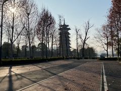 -洋湖国家湿地公园