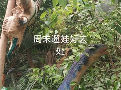 -呀路古热带植物园