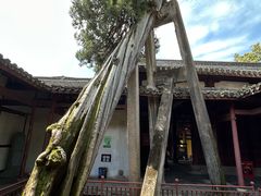 -太平天国侍王府