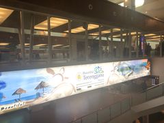 -吉隆坡国际机场