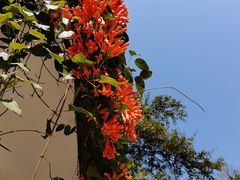 -桃花涧