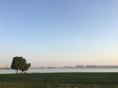 -苏州金鸡湖大酒店