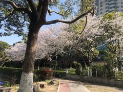 -昆山城市公园