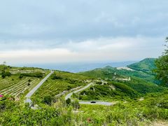 -阳台山自然风景区