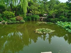 -秋霞圃