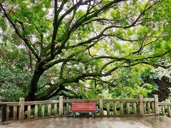 -乌山风景区
