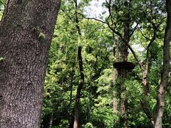 -WeLope紫金山探险公园