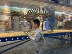 -国家自然博物馆